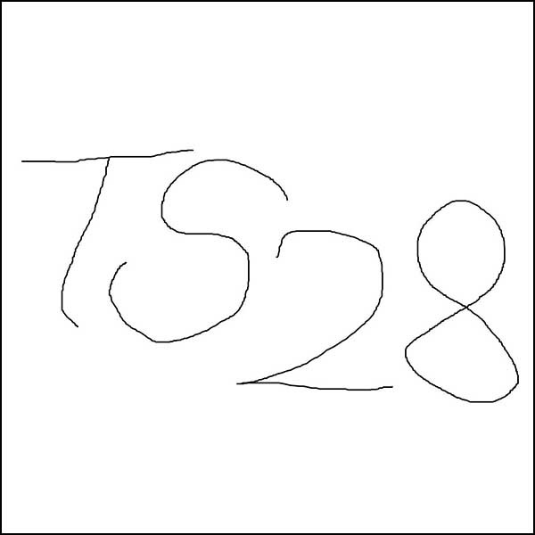TS28