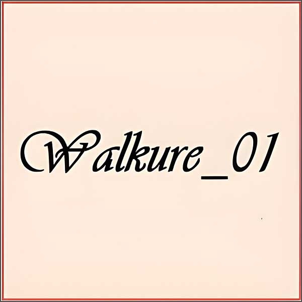 Walkure_01,キャッシュバック,激安,レビュー,検証,徹底評価,口コミ,情報商材,豪華特典,評価,