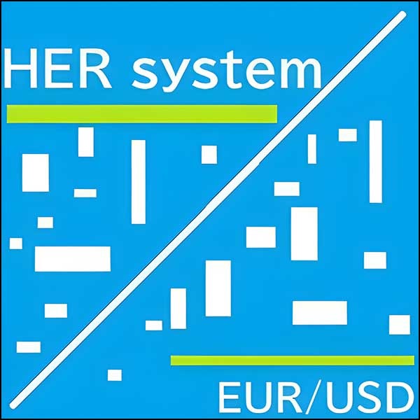 HER_system