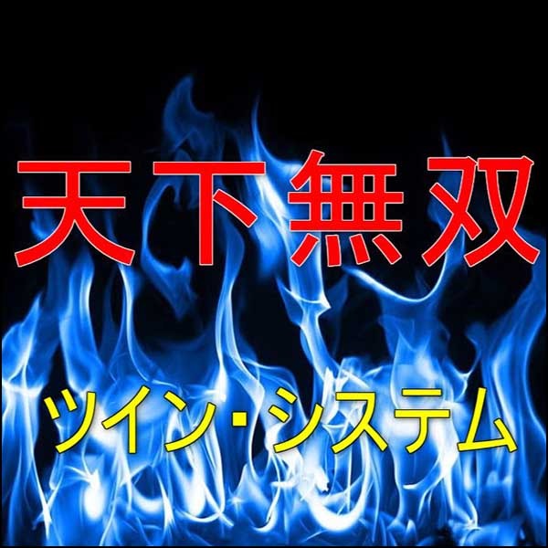 「天下無双」ツインパック