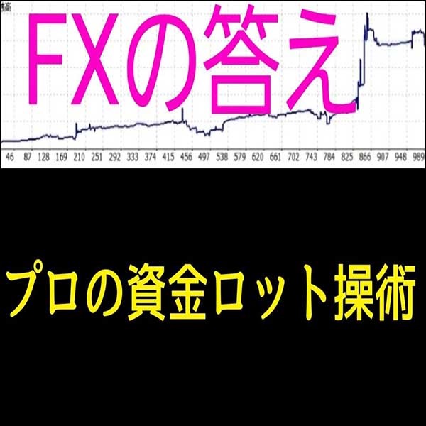 FX プロの資金ロット操術