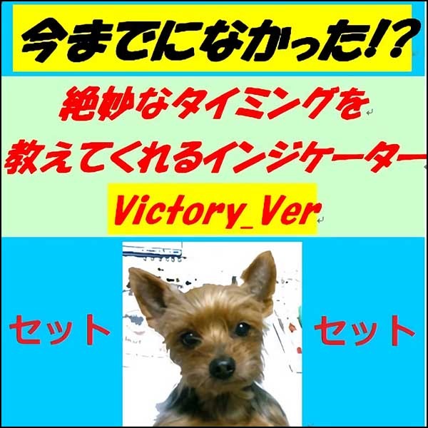 お得なセット【新インジケーターVictory.verも入ったチョーお得な4点セット】