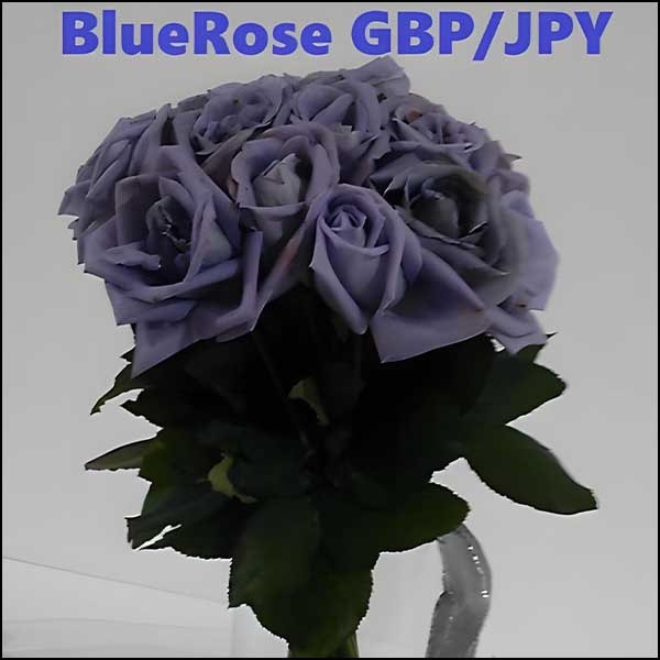 BlueRose GBP/JPY,レビュー,検証,徹底評価,口コミ,情報商材,豪華特典,評価,キャッシュバック,激安