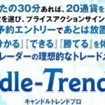 CandleTrendPRO！3つの手法をついに公開,レビュー,検証,徹底評価,口コミ,情報商材,豪華特典,評価,キャッシュバック,激安