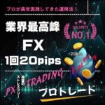 FXの【業界最高峰1回20pips】 圧倒的な3年間の実績で、毎回の利確幅20pipsを狙ったトレード手法,レビュー,検証,徹底評価,口コミ,情報商材,豪華特典,評価,キャッシュバック,激安