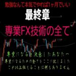 FXで勝ちたい！ 専業技術を身に付ける,レビュー,検証,徹底評価,口コミ,情報商材,豪華特典,評価,キャッシュバック,激安