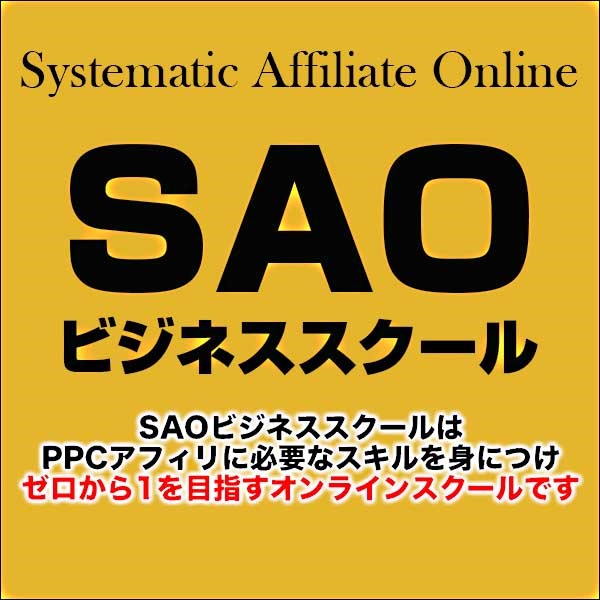 SAOビジネススクール