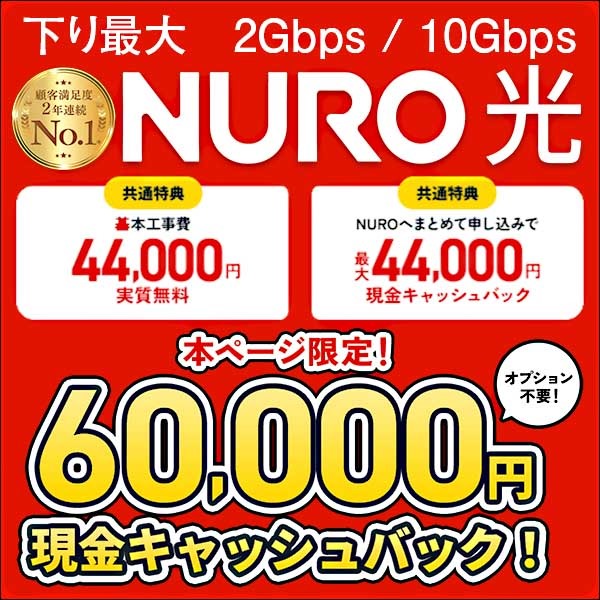 高速インターネット NURO 光,レビュー,検証,徹底評価,口コミ,情報商材,豪華特典,評価,キャッシュバック,激安