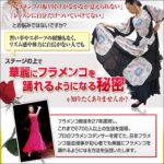 フラメンコを自宅でマスター！鈴木眞澄のフラメンコレッスン,レビュー,検証,徹底評価,口コミ,情報商材,豪華特典,評価,キャッシュバック,激安