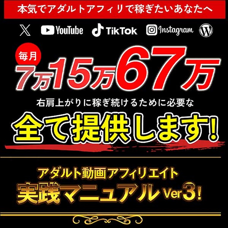 新）アダルト動画アフィリエイト実践マニュアル！