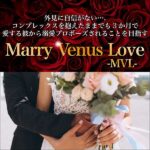MVL ブロンズコース,レビュー,検証,徹底評価,口コミ,情報商材,豪華特典,評価,キャッシュバック,激安