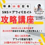 SNS×アフィリエイト攻略講座,レビュー,検証,徹底評価,口コミ,情報商材,豪華特典,評価,キャッシュバック,激安