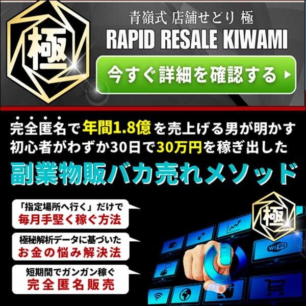 青嶺式　店舗せどり　極B,レビュー,検証,徹底評価,口コミ,情報商材,豪華特典,評価,キャッシュバック,激安