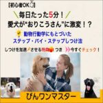 びんワンマスター,レビュー,検証,徹底評価,口コミ,情報商材,豪華特典,評価,キャッシュバック,激安