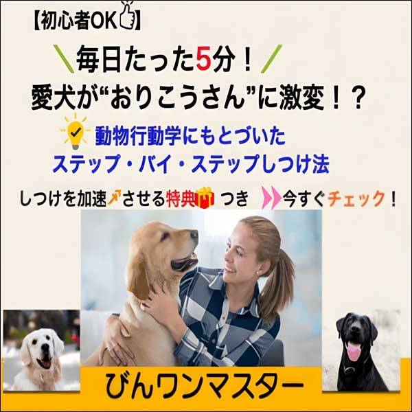 びんワンマスター