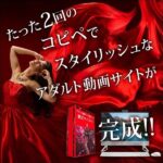大型アダルトサイト作成ツール　Scarlet3（スカーレット3）,レビュー,検証,徹底評価,口コミ,情報商材,豪華特典,評価,キャッシュバック,激安